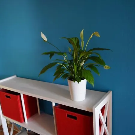 Obstkorb * 施特拉尔松德